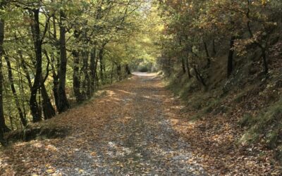 La natura contro lo stress……….vacanza nella natura !!