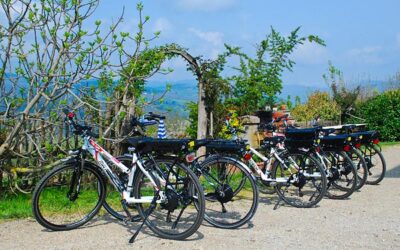 Noleggio biciclette con pedalata assistita