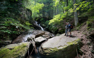 Casentino Forest National Park